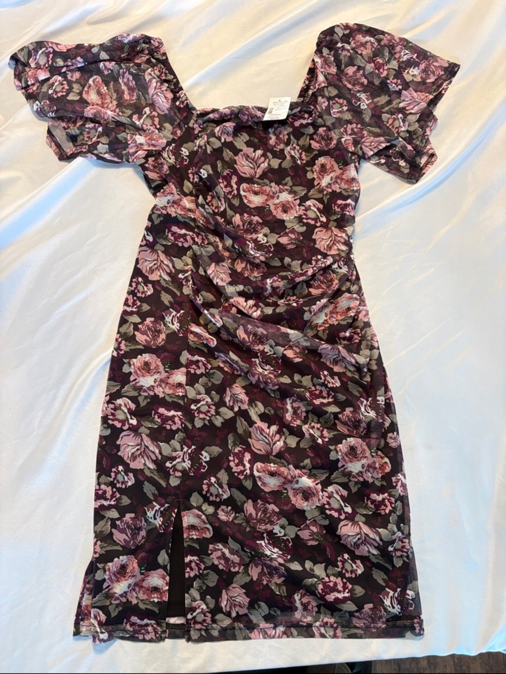 NWT Cleo Petite Sheer Dress with Puff Sleeves